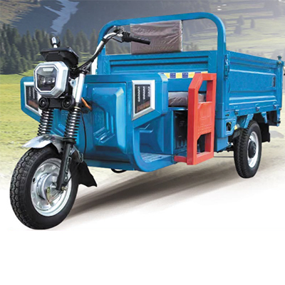 1.6m Cargo Electric Tricycle
